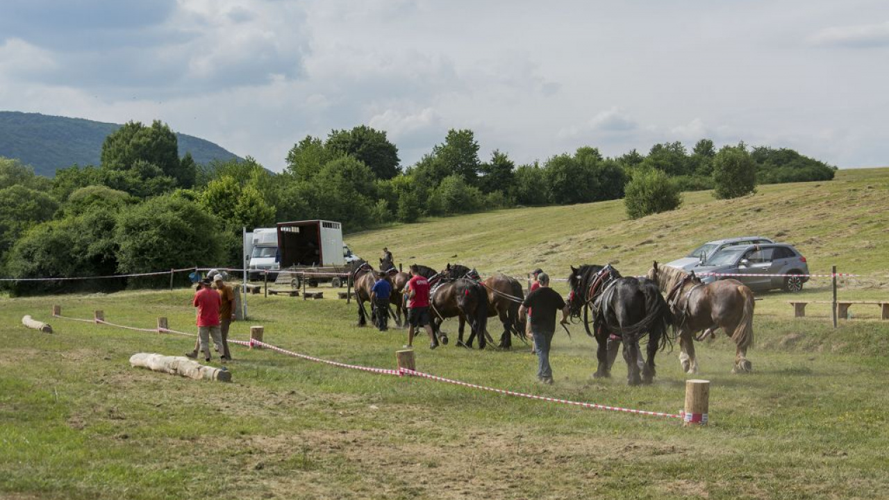 Fotografia fotogalérie Furmani 2018